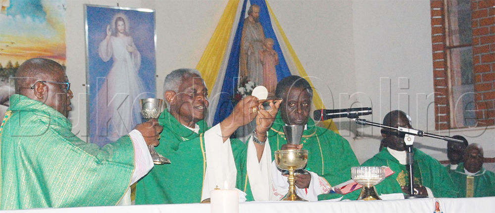 Kalidinaali Turkson ng'asoma mmisa