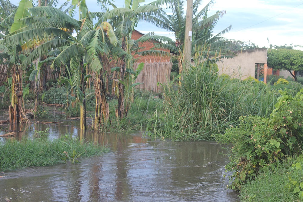 Several houses and gardens in villages of Kabuga and Kivengenyi Kaarusandara SC engulfed by floods of River Mubuku because of illegal min irrigation. (Credit: Samuel Amanyire)