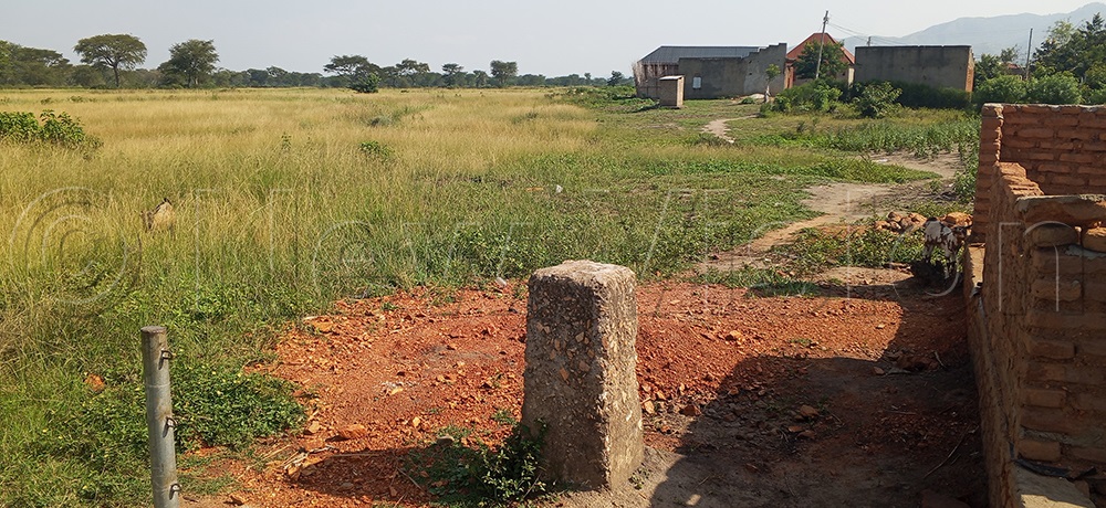 Some of the demarcations indicating clearly how people encroached on the Queen Elizabeth National Park land in areas of Kikonzo and Kidodo cells of Kasese Municipality. (Credit: Samuel Amanyire)