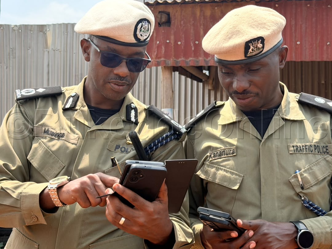 Musinga ne Kananura nga baliko bye bakebera bwe baabadde ku kikwekweto kino
