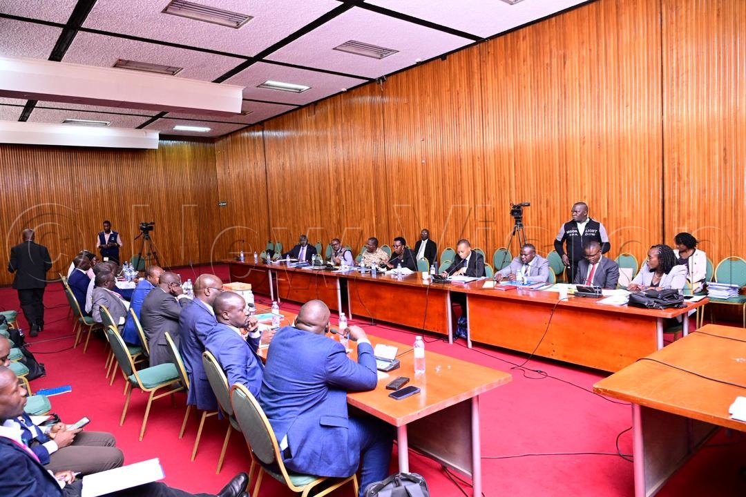 (Credit: Miriam Namutebi)