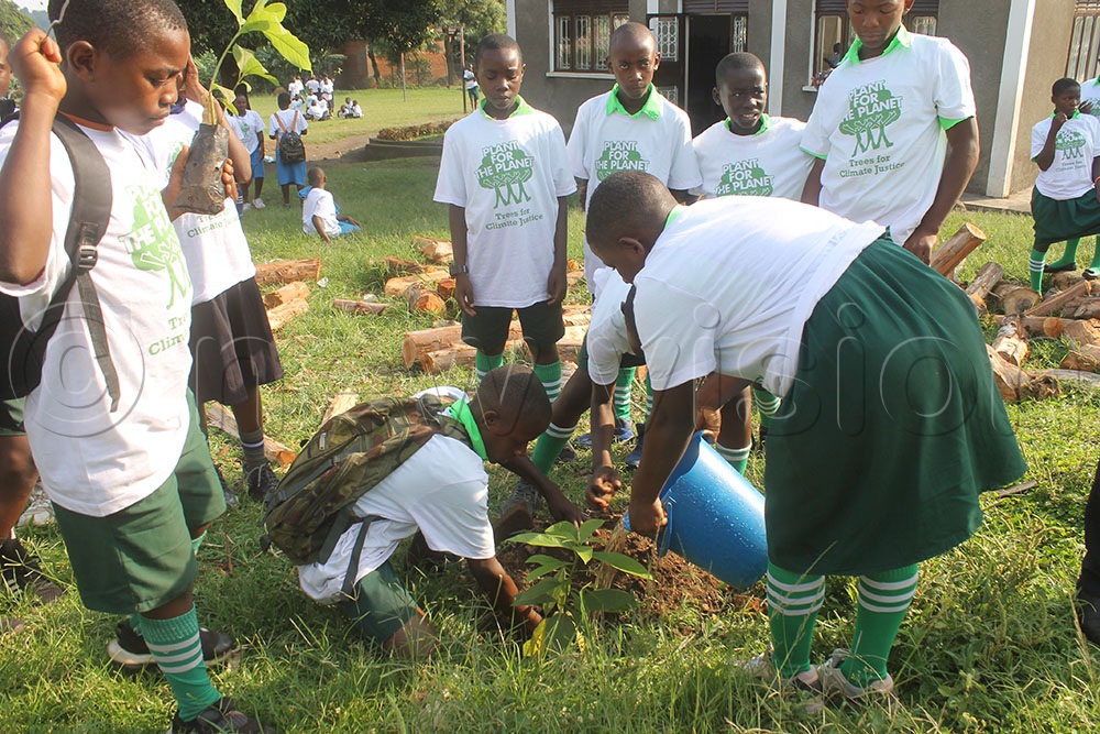 Learners kick off the tree planting activity in a bid to participate in restoring snow on the Rwenzori mountains. (Credit: Samuel Amanyire)