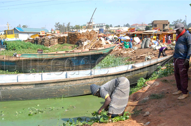 Abamu ku bawangaalira ku mwalo gwa portbell nga bali ku mwalo