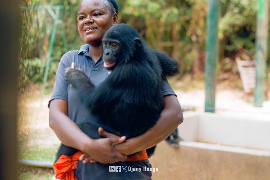 A lady carrying a Chimpanzee. (Courtesy)