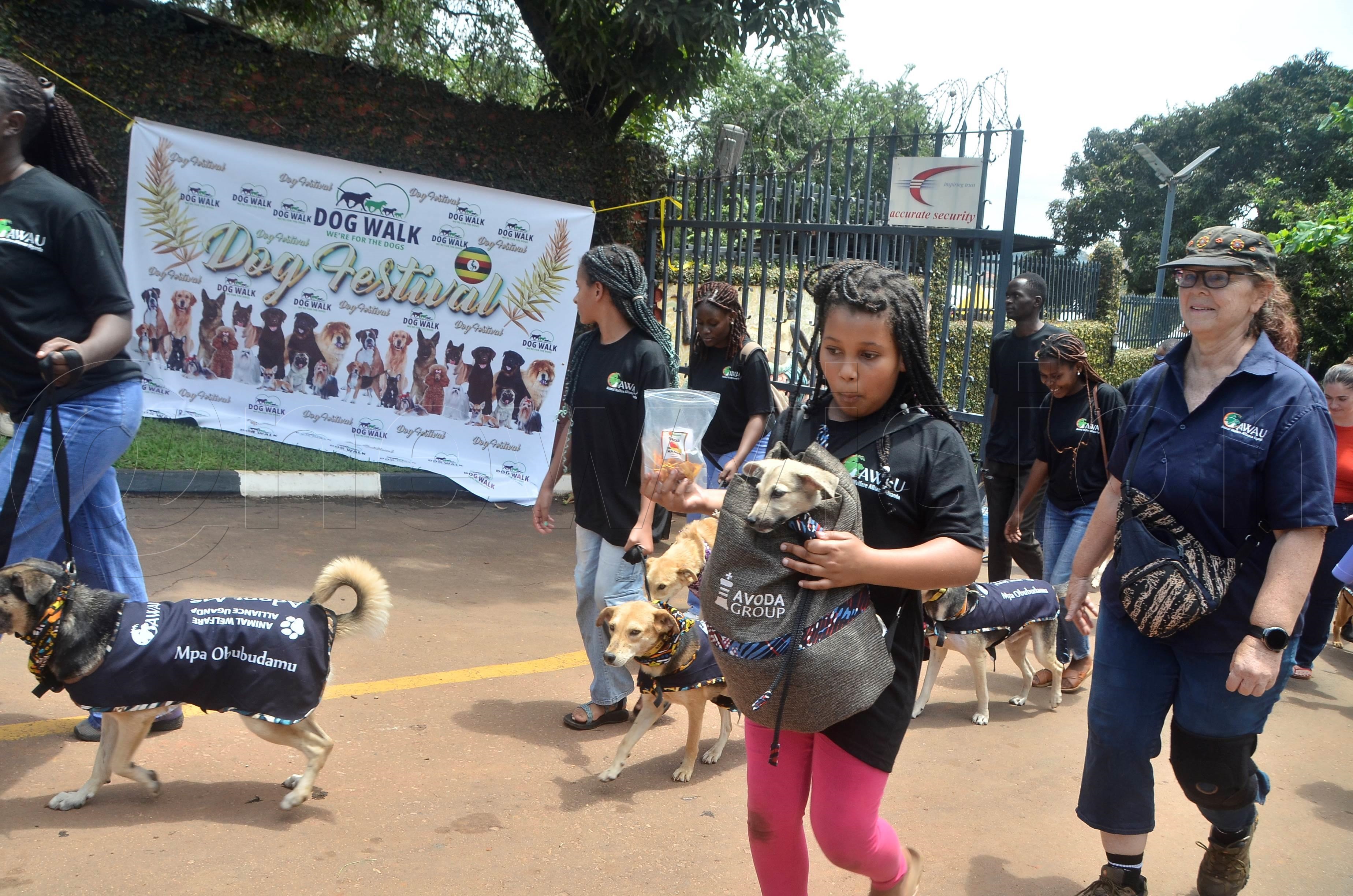Kampala goes to the dogs, and it's glorious