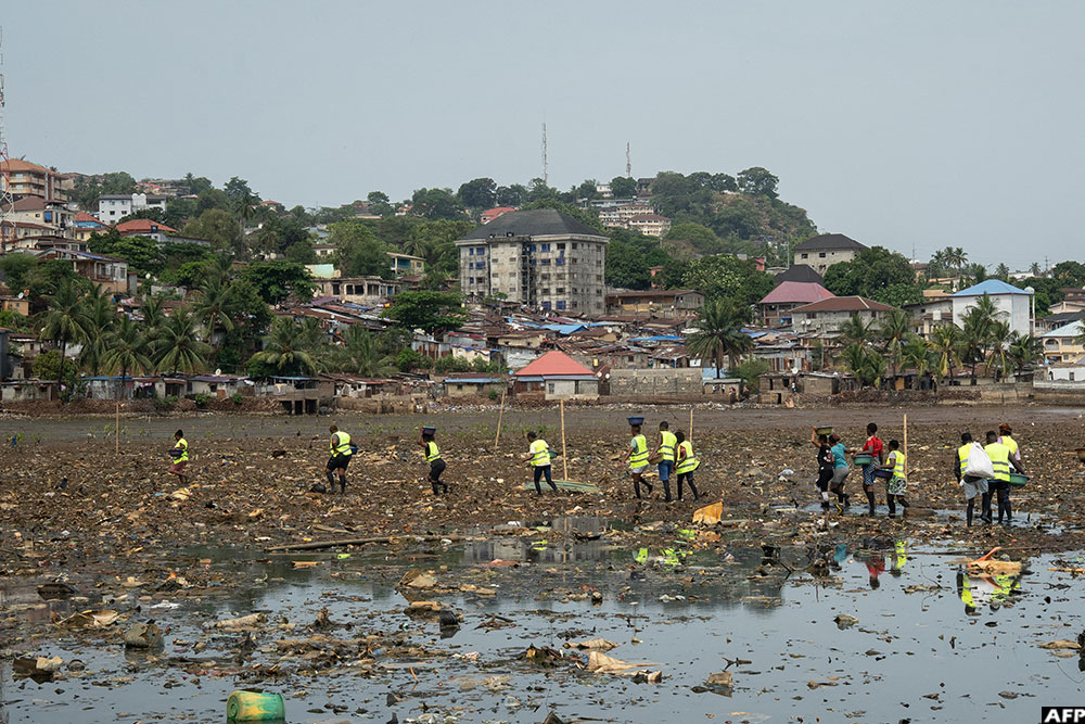 Community members from Kolleh Town and a part of Nature for Mangroves, in collaboration with Plan International, walk across the polluted bay in Kolleh Town to a mangrove reforestation site to install oyster racks in Freetown