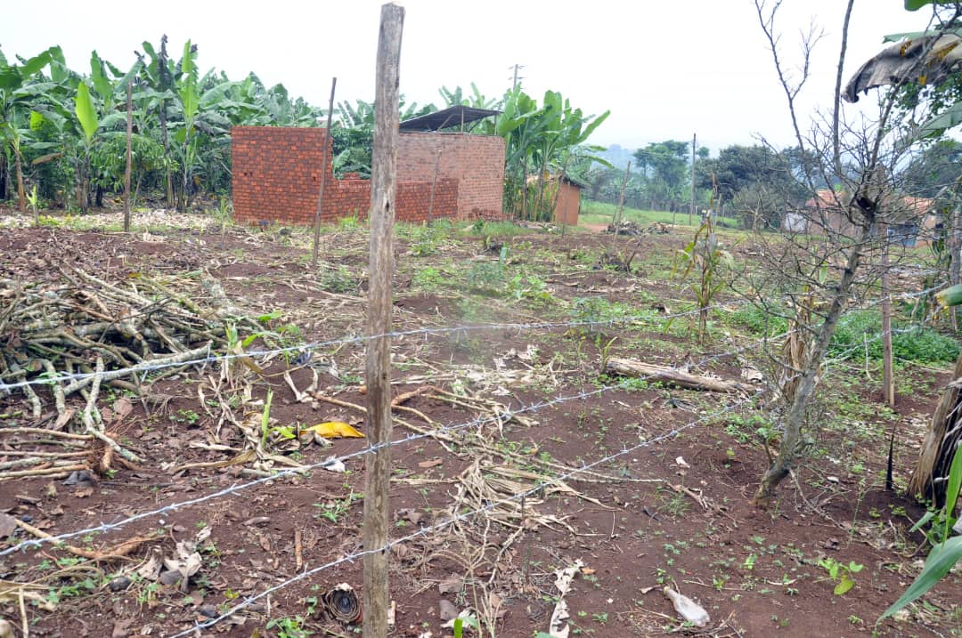 Ssengenge Eyasibiddwa Ku Kitundu Ekyatundiddwa nnassali