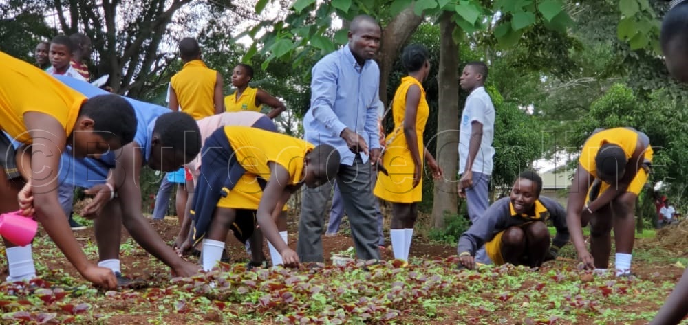 Abayizi n’omusomesa waabwe nga basimba ebbugga nga pulojekiti emu ekolebwa okutaasa obutonde
