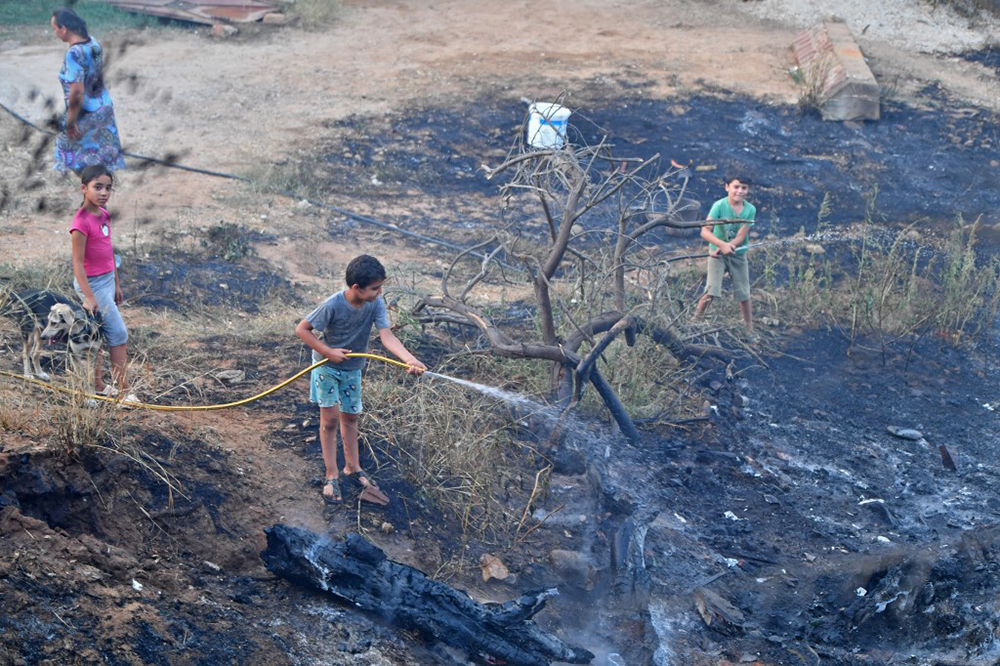 Algeria fires fanned by winds, extreme heat kill 34 Bukedde Online