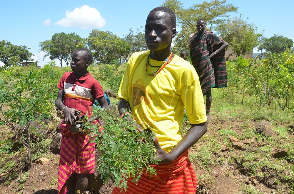 Youth participate in the planting of trees in Tapac sub county, Moroto district. (Credit: Olandason Wanyama)
