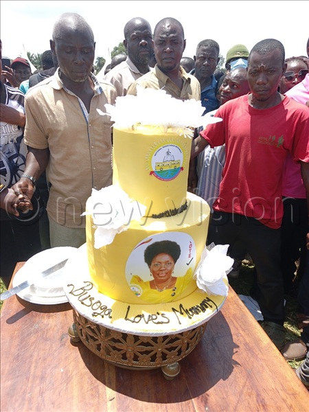 The cake