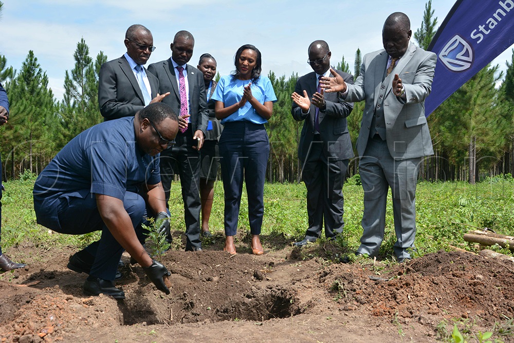 Mumba Kalifungwa Chief Executive of Stanbic Bank (left) planting a tree at the Bunyoro University site as the taskforce and bank officials cheered him. (Photo by Peter Abaanabasazi)