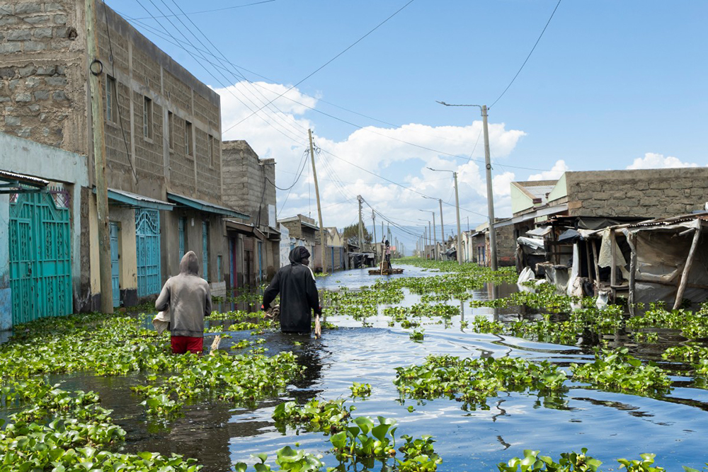 Residents wade through flood water carrying long poles as they make for suitable fishing grounds at what used to be their homes at Kihoto estate in Naivasha on November 17, 2025. Heavy rains in Kenya have caused the waters of Lake Naivasha, a hundred kilometres northwest of capital Nairobi, to flood nearby homes, displacing families. (AFP Photo)