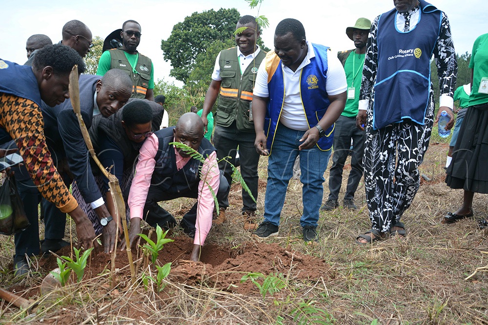 Hoima district officials led by Emmanuel Ssempara, Hoima district CAO, planting a tree as they launched tree planting campaign. (Photo by Peter Abaanabasazi)