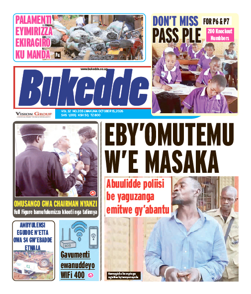 New Vision E-Paper