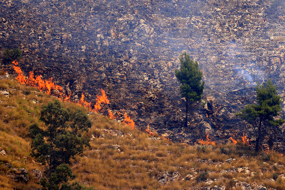 This photograph shows a wildfire burning trees and grass in Sagana in the territory of Monreale, Sicily on July 22, 2026. (Photo by AFP)