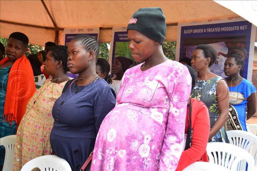 📷 Over 200 pregnant women get mosquito nets, mama kits New Vision