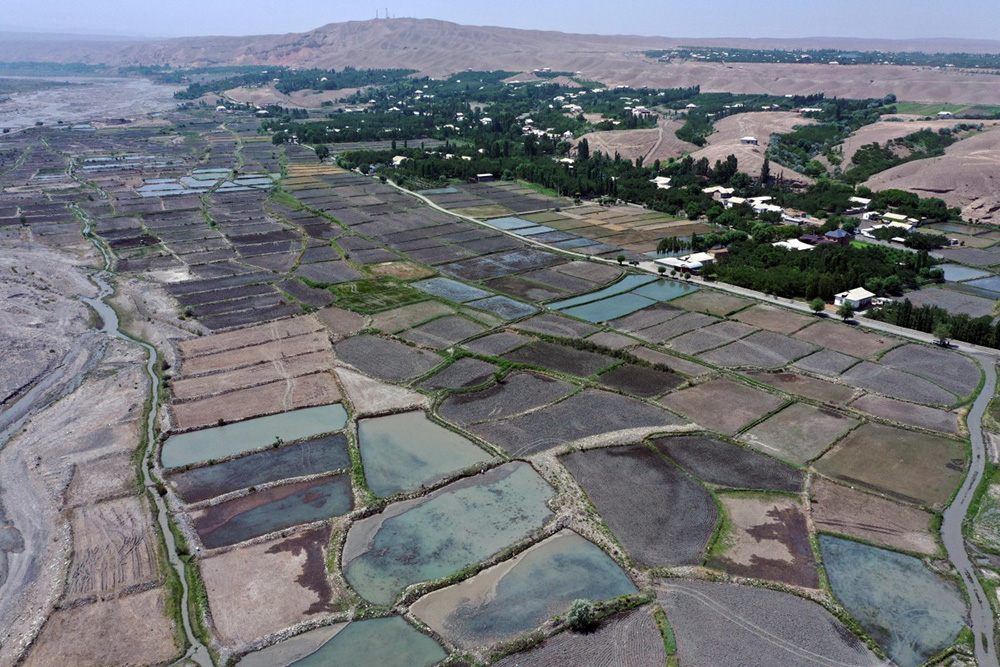  An aerial view shows rice fields in the Batken region in southern Kyrgyzstan on May 22, 2025. (Photo by Guliza Urustambek kyzy / AFP)
