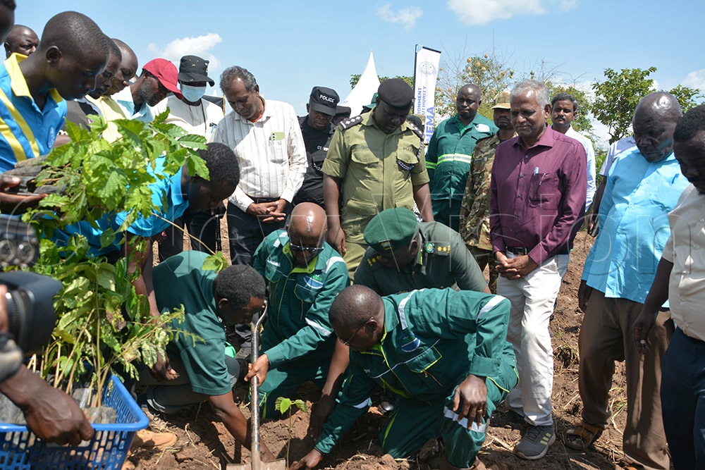 Dr Barirega Akankwasah, NEMA Executive Director, holding a spade while planting a tree as he launched the Kyangwali mixed land use project in Nsozi village. (Photo by Peter Abaanabasazi)