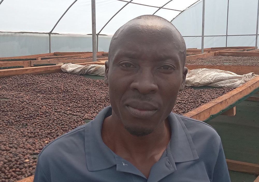 Johnson Mibiri, a field officer at Karangura Co-operative, standing in front of the co-operatives solar coffee drier. (Photo Stephen Nuwagira)