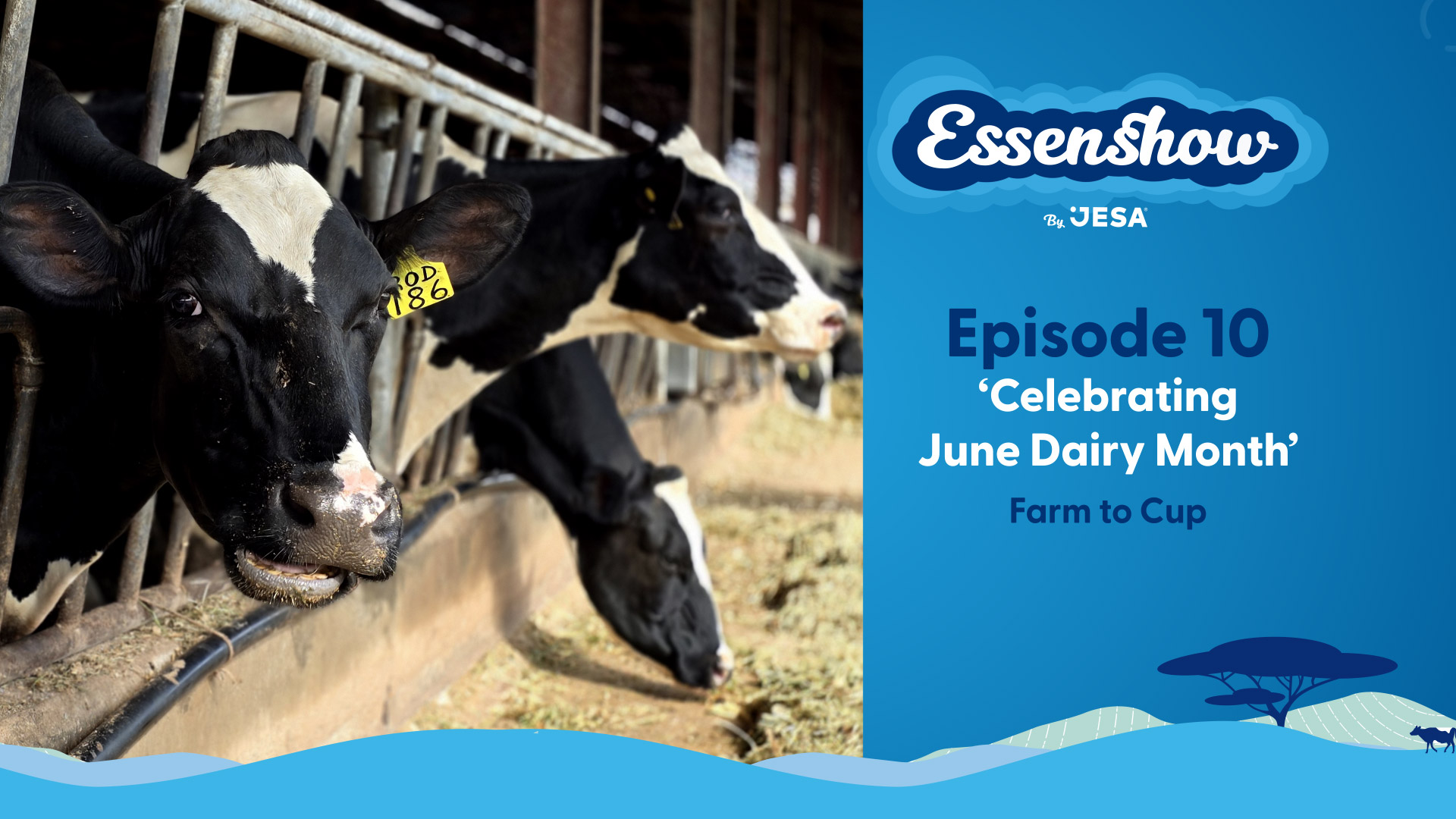 DairyMonth:From farm to cup, JESA excellence takes a village!