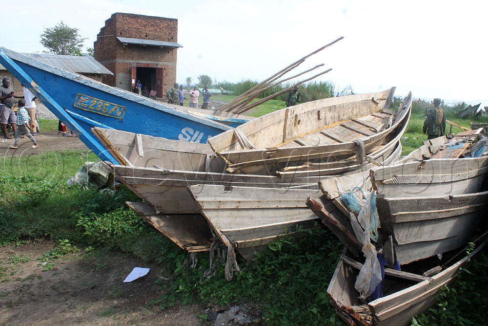 Some of the confiscated illegal fishing boats at of Kasese District Kayanja landing site on Lake Edward in Kyakiyumbu Sub-county. (Photo by Samuel Amanyire)