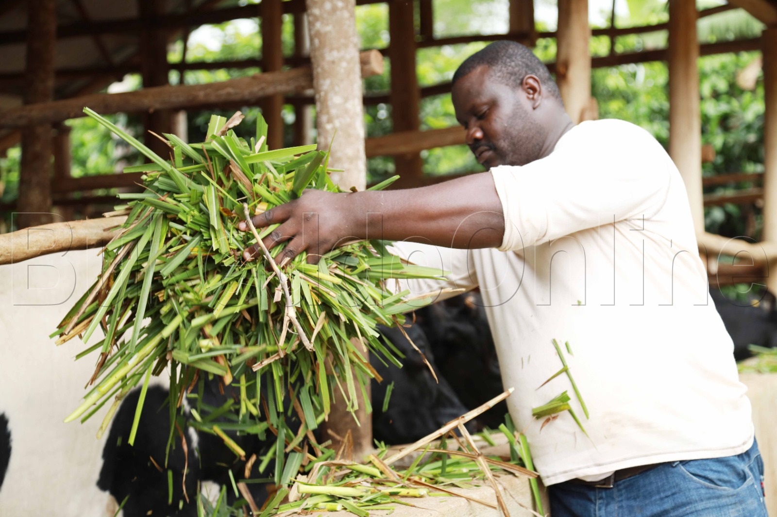 Majembere ng'awa ente ebisagazi