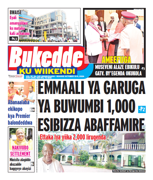 New Vision E-Paper