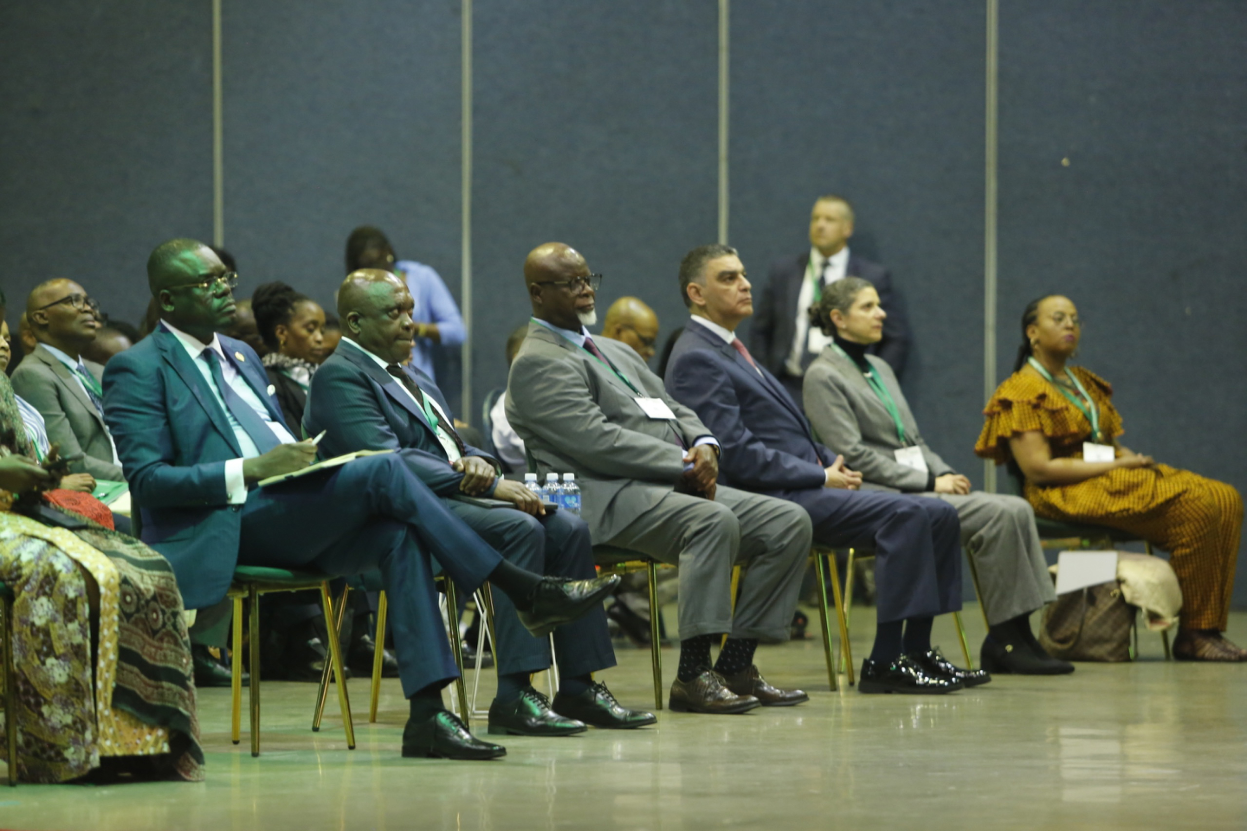 The discussion in Durban is framed around one clear goal of making Africa’s health systems self-reliant as delegates agreed that the continent’s long-term survival depends on increasing domestic financing for health.