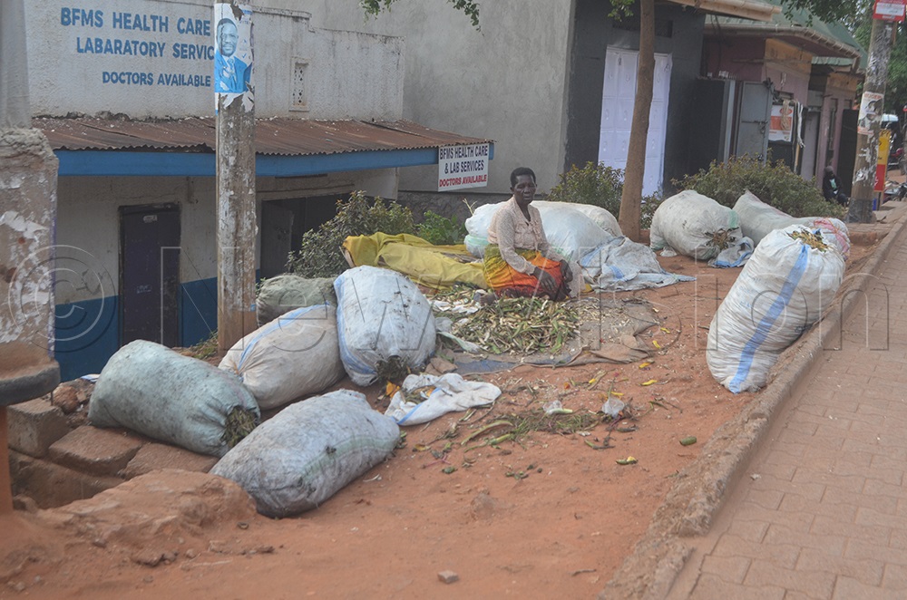 Namusisi usually buys the peels from dealers, who also collect them from various locations. She buys one bag at sh8,000 and in turn sells it at sh10,000, making a profit of sh2,000. (Credit: Frank Ssentongo)