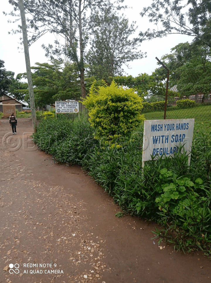 Oluggya Lw'essomero Olujjudde Kiragala Bwe Lufaanana Ebweru.