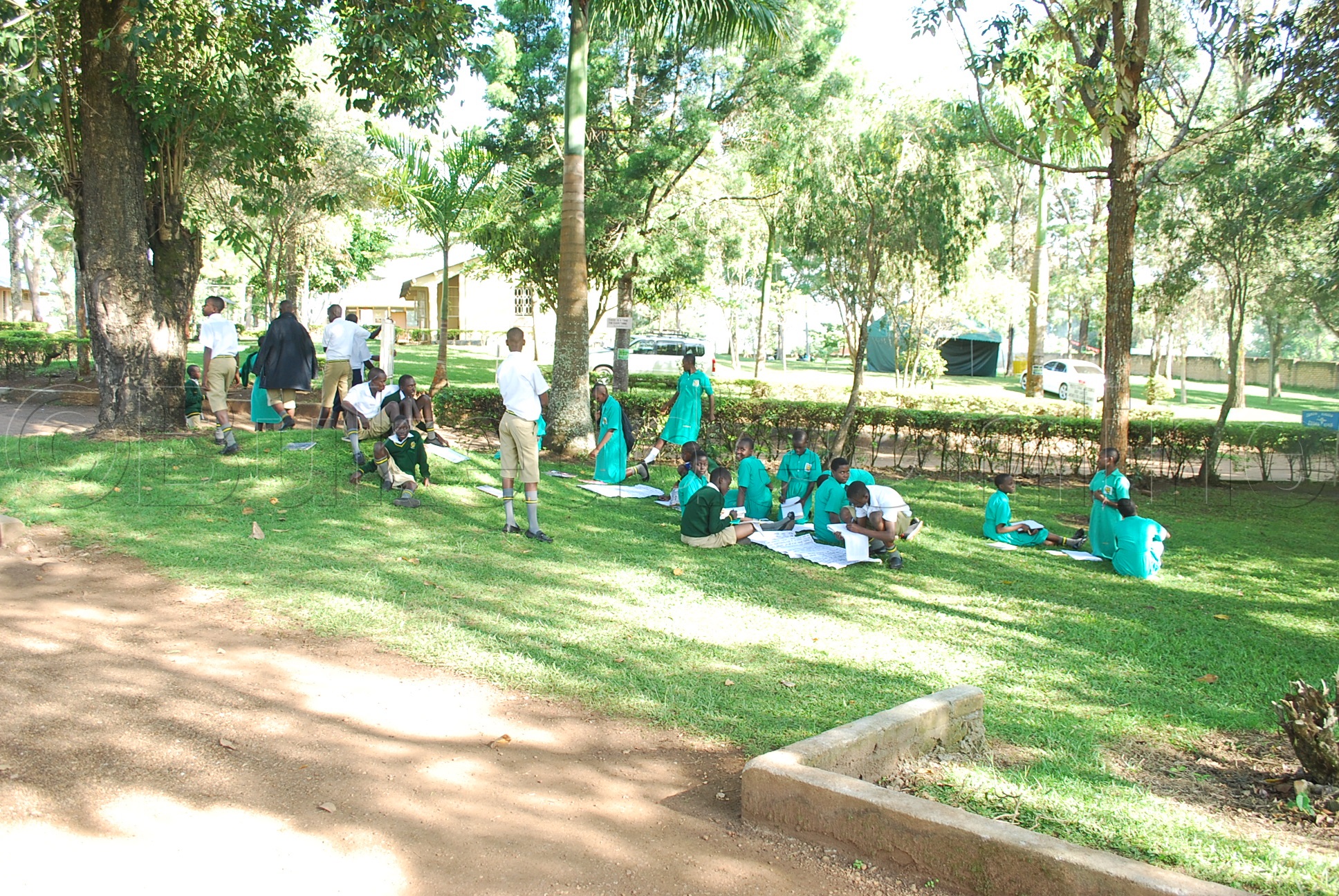 Abayizi Nga Bawumuddeko Mu Kikome Ky'emiti.