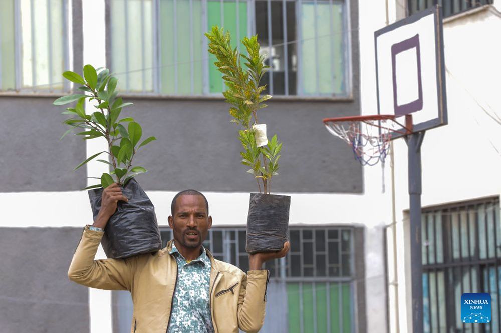 A man carries tree seedlings for planting in Ethiopia as the country took part in a nationwide tree-planting campaign on Monday, aiming to plant a record-breaking 800 million tree seedlings in a single day. (Photo by Michael Tewelde/Xinhua)