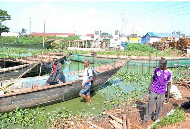 Abamu ku bavubi nga bali ku mwalo