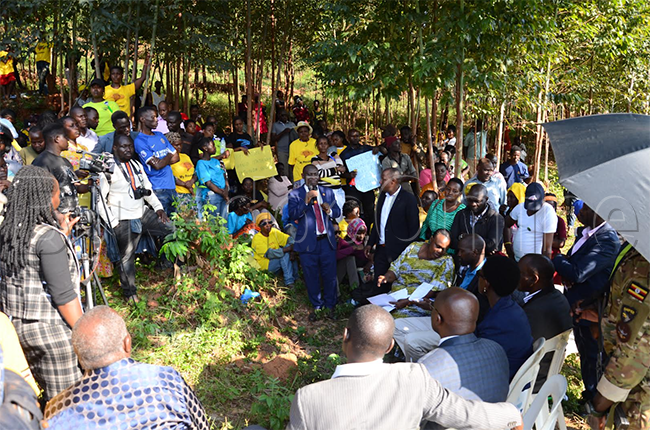 Famire ezikaayanira ettaka  nga ziri mu lukiiko