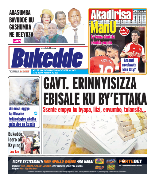 New Vision E-Paper