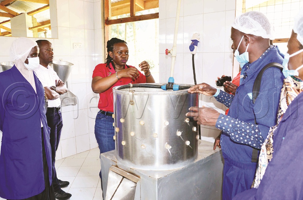 Gabindadde (centre) explains how a chicken slaughter business can  be run successfully. This was at Biwooma Farm in Gayaza, Wakiso