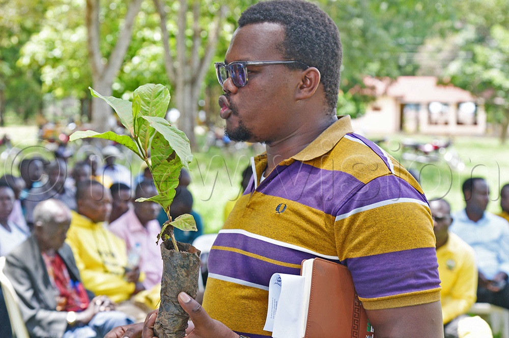 Ronald Onyangai, a regional agricultural officer at the Ministry of Agriculture, Animal Industry and Fisheries speaking to Serere farmers as he held a coffee seedling. (Photo by Godfrey Ojore) 