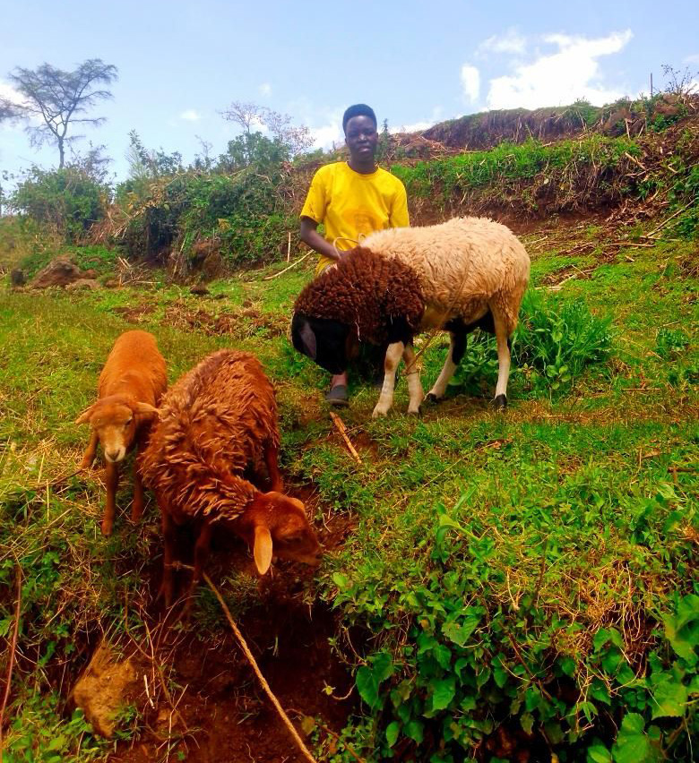 Chebet received a resettlement package worth shillings 500,000 which she used to buy three sheep. (Courtesy photo)