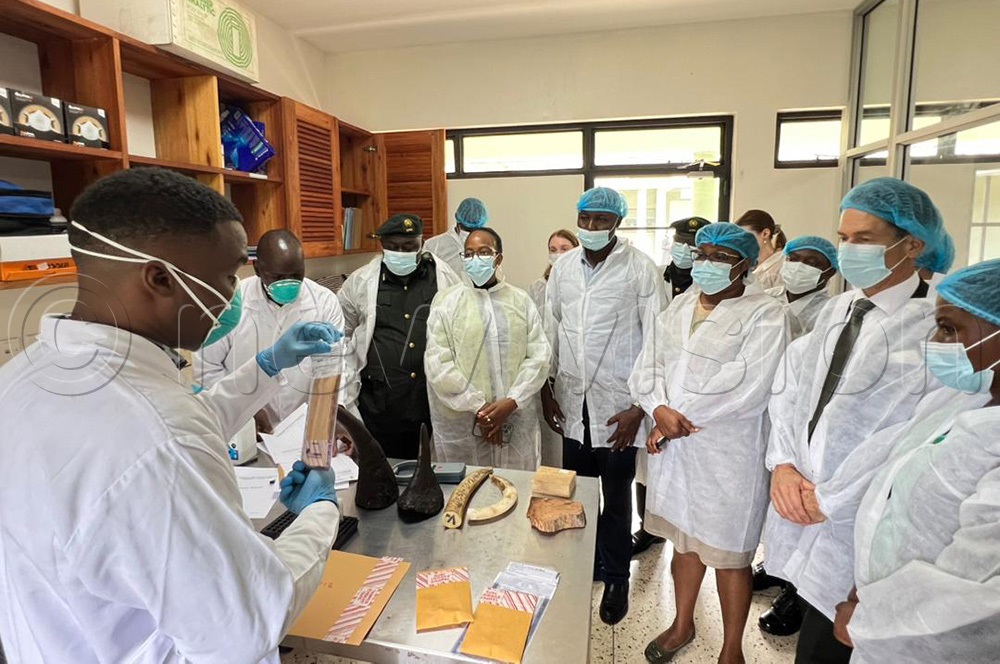 The new laboratory was handed over by the United Nations Office on Drugs and Crime with support from the TRACE Wildlife Forensics Network. (Photo by Julius Luwemba)