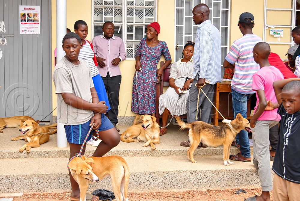 Dog and cat owners who turned up for a one-day free pet community clinic held at Iganga district headquarters on September 11, 2026. (Photo by Moses Bikala)