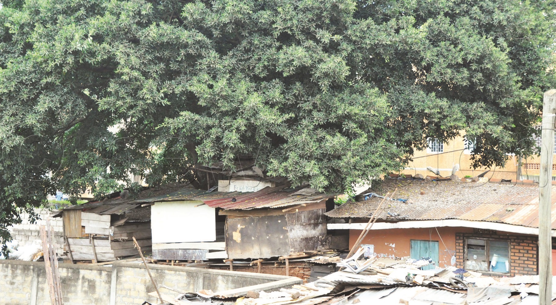 Some of the ghetto flats in Bugoloobi, Kampala, where the students from the surrounding universities reside. These places are used by students who are addicted to drugs.
