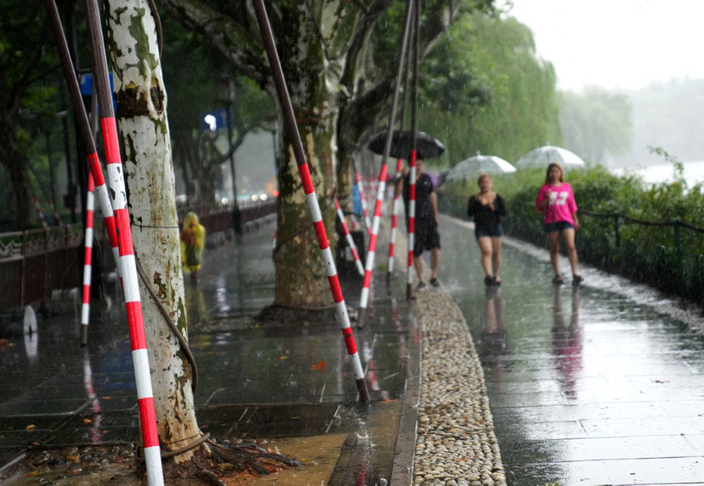 Visitors walk past temporarily reinforced trees along the West Lake in Hangzhou, east China's Zhejiang Province, Aug. 9, 2026. (Photo by Han Chuanhao / Xinhua via AFP)