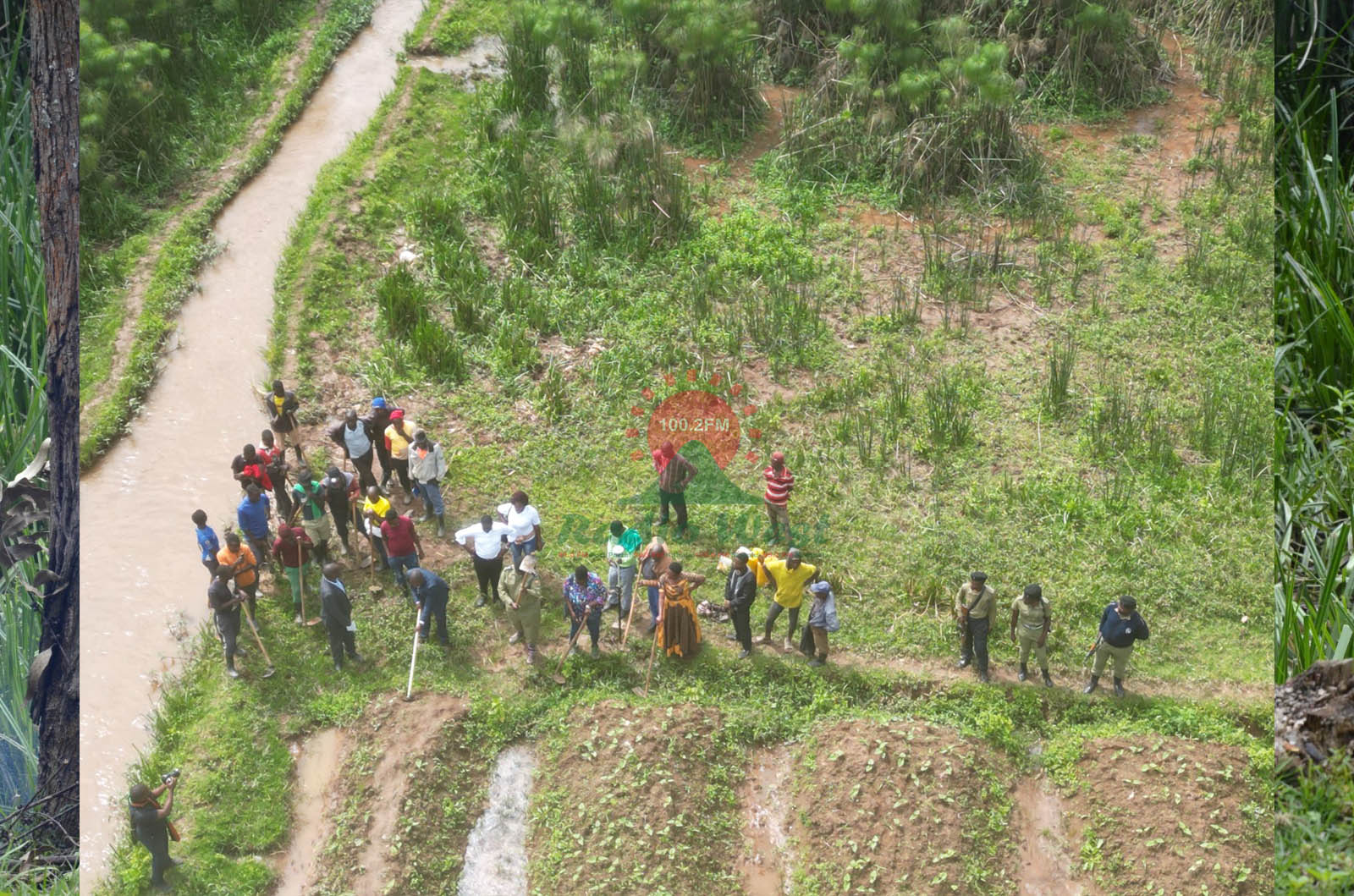 Abatuura b'omugomborora eya Muko omu disiturikiti eya Rubanda barikukuura ebihingwa ebi abantu baahingire omu bisharara. 