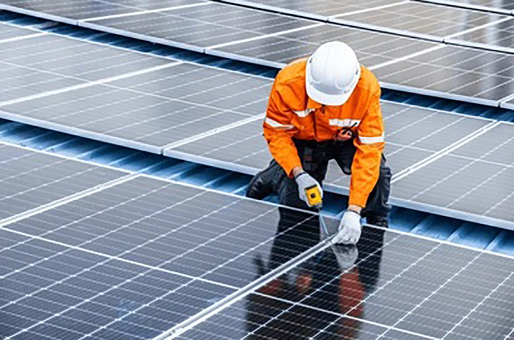 The Untold Story Of Aldis 77 Million Solar Power Investment - y4xtvg1
