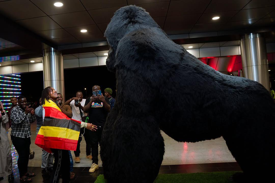 Matt B aka Matthew David Benson admiring the statue of a Gorilla.