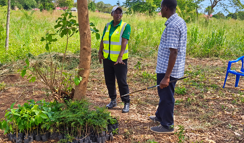 Edith Akurut (left) teaching a teacher about Nakatunya tree species during time for the planting season. (Photo by Patrick Odongo)