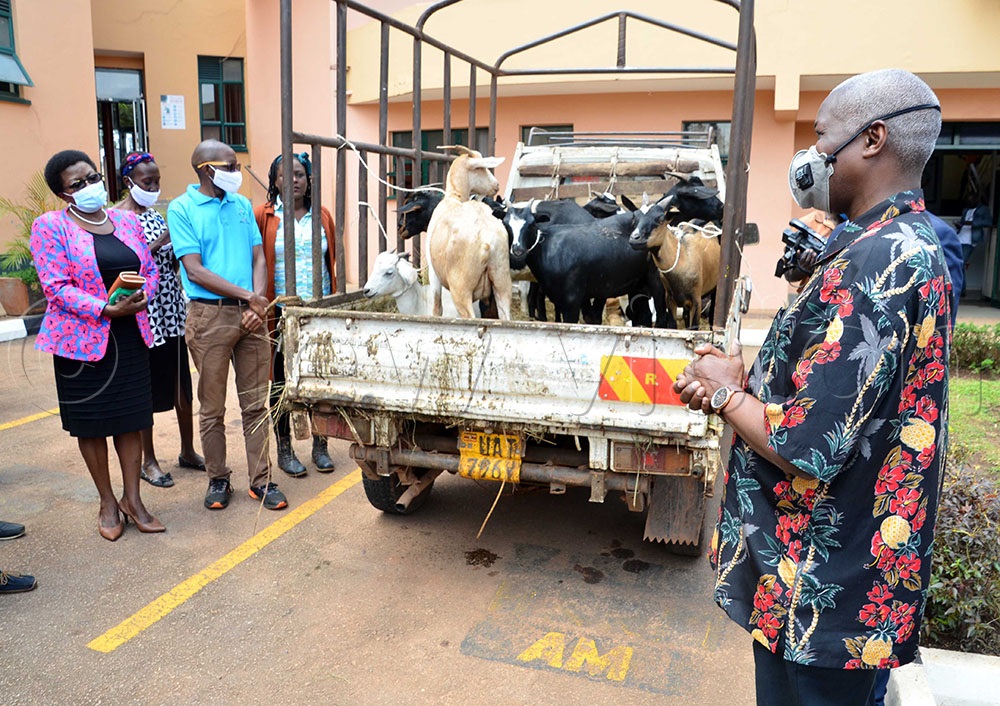 Kakande (Right) being handed over the goats which were donated to him by his workmates during his sendoff.