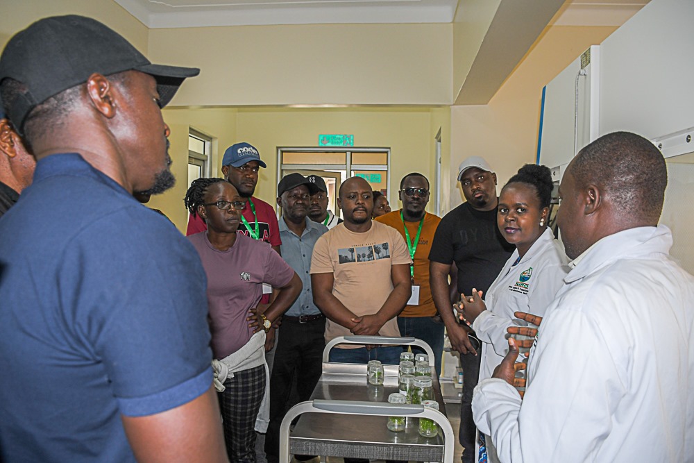 Seed experts in the laboratories.