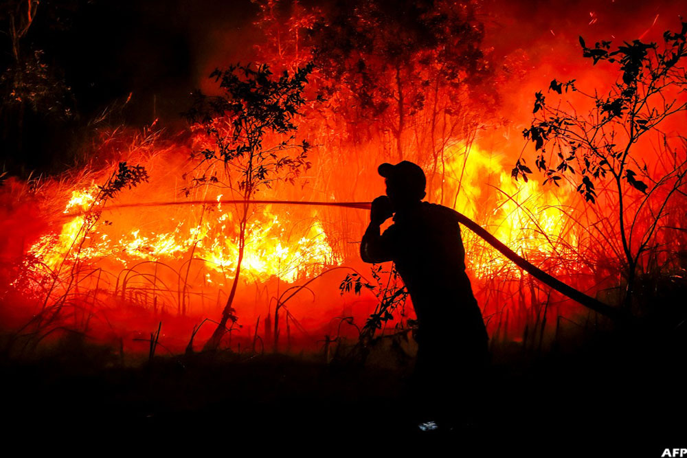 A firefighter from the Regional Disaster Management Agency douses a forest fire at Sungai Rambutan village in Ogan Ilir, South Sumatra on September 11, 2026. (AFP)